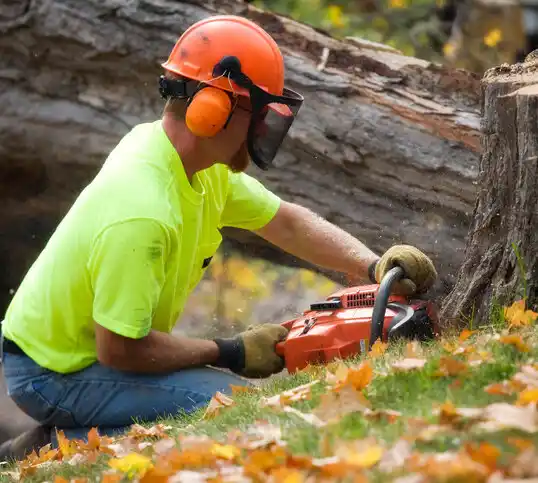 tree services Montana